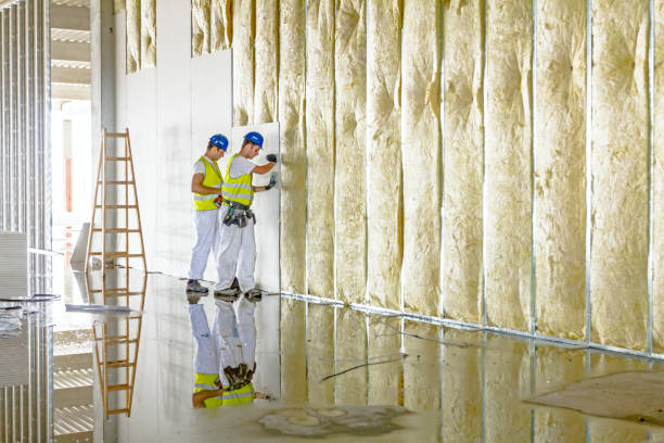 Best Insulation Installation Services in Mason, TN